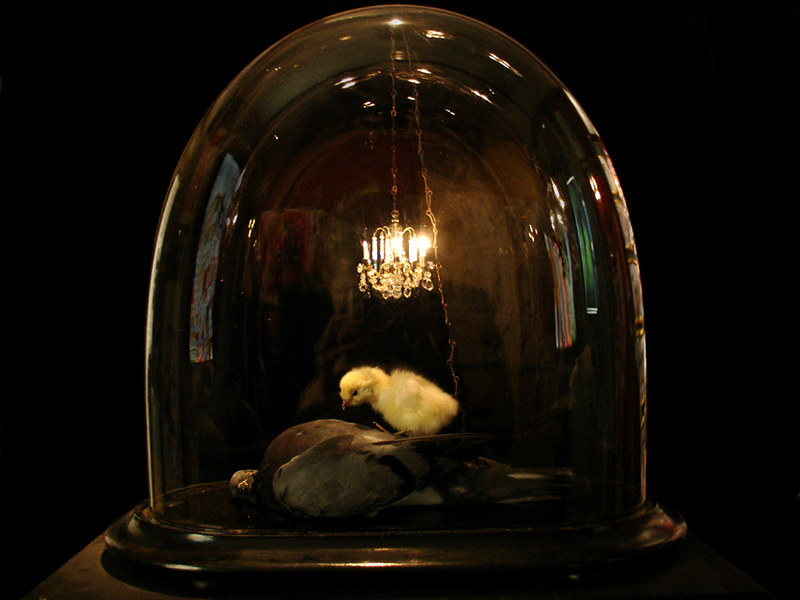 Taxidermy in art: Polly Morgan, Still Life After Death, 2007. Stubbs Gallery.
