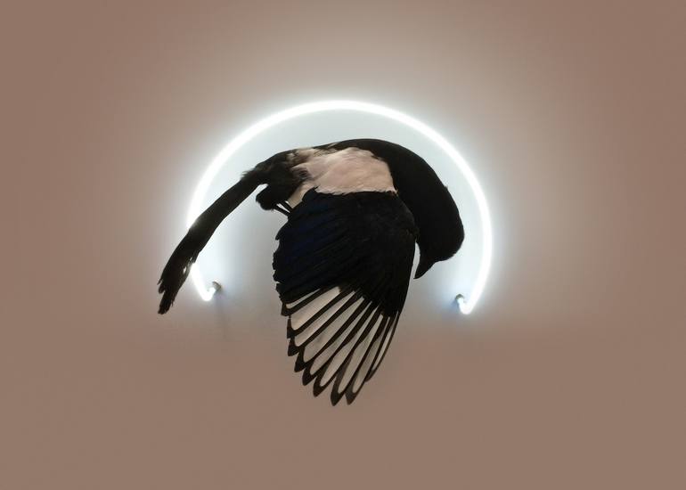 Taxidermy in art: Harriet Horton, An Aborted Beginning, 2015, Sleep Subjects series, The Crypt, London, UK. Artist’s website.