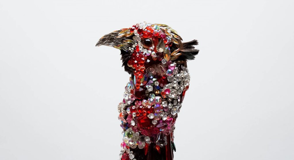 Taxidermy in art: Angela Singer, Nepenthe, 2011-2015. Artist’s webiste. Detail.