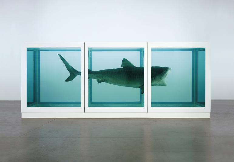 Taxidermy in art: Damien Hirst, The Physical Impossibility of Death in the Mind of Someone Living, 1991. Artist’s website.