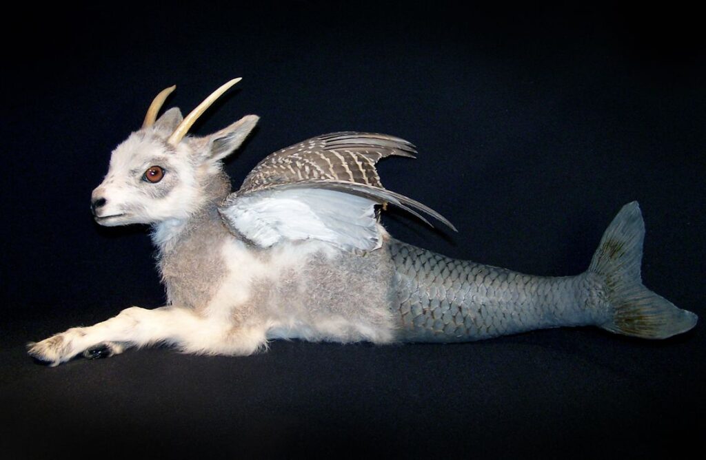 Taxidermy in art: Sarina Brewer, Capricorn, 2004. Artist’s webiste.