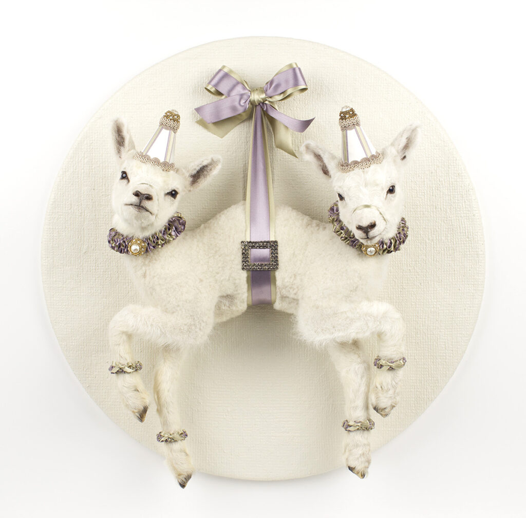 Taxidermy in art: Les Deux Garçons, Goat Twins. Artists’ webiste.
