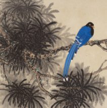 LOT 648 – 檜木藍鵲