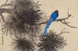 LOT 648 – 檜木藍鵲